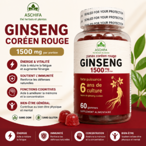chatgpt image 17 juil. 2026 16 07 39.webp